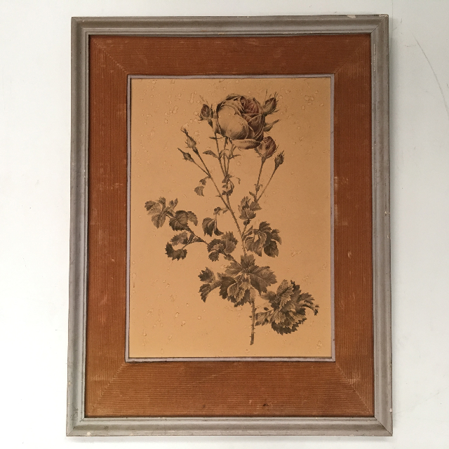 ARTWORK, Still Life (Medium) - Vintage Rose